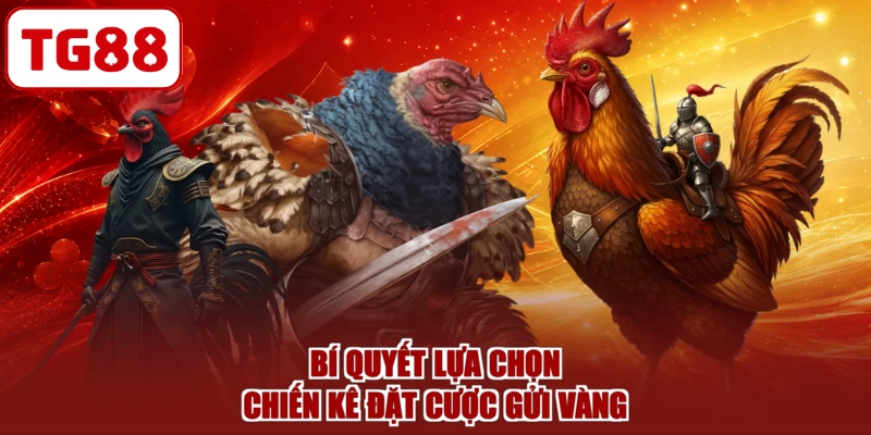 Bí quyết lựa chọn chiến kê đặt cược gửi vàng