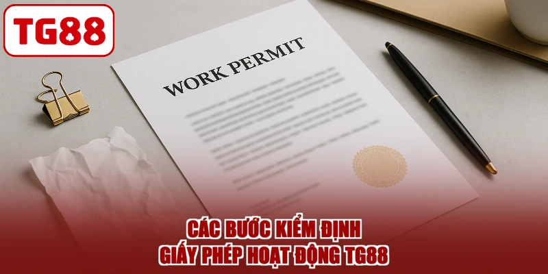 Các bước kiểm định giấy phép hoạt động TG88