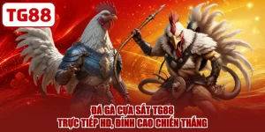 Đá Gà Cựa Sắt TG88 - Trực Tiếp HD, Đỉnh Cao Chiến Thắng