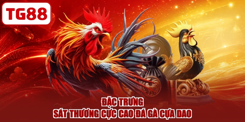 Đặc trưng sát thương cực cao đá gà cựa dao