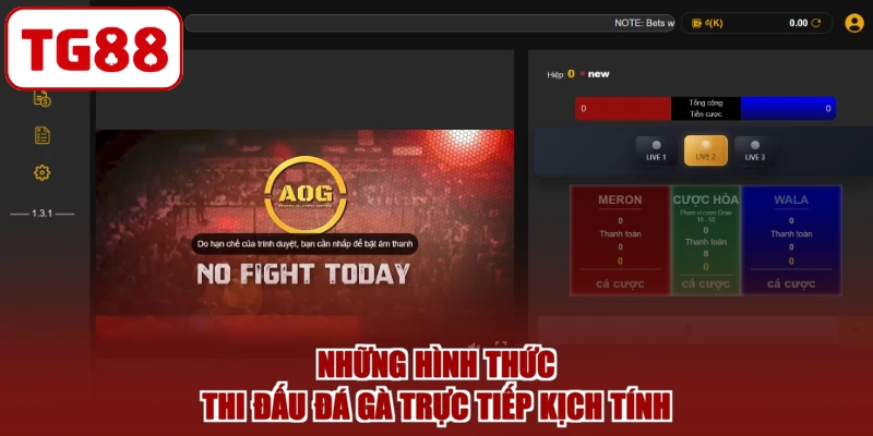 Những hình thức thi đấu đá gà trực tiếp kịch tính