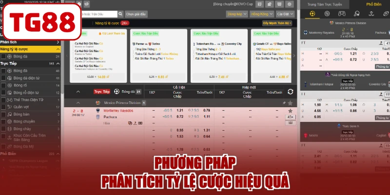 Phương pháp phân tích tỷ lệ cược hiệu quả