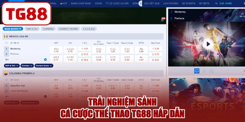 Trải nghiệm sảnh cá cược thể thao TG88 hấp dẫn